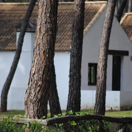 Camping Dehesa Nueva