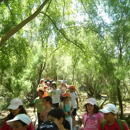 Camping Dehesa Nueva