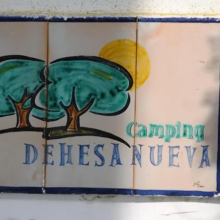 Camping Dehesa Nueva 3*