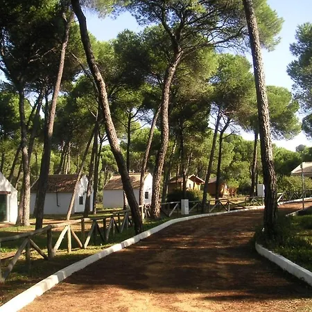Camping Dehesa Nueva Aznalcázar