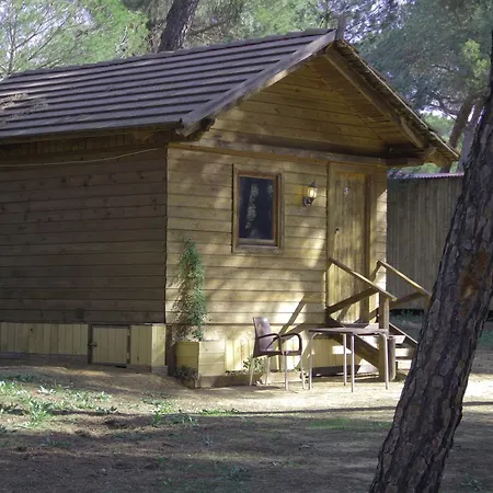 Camping Dehesa Nueva